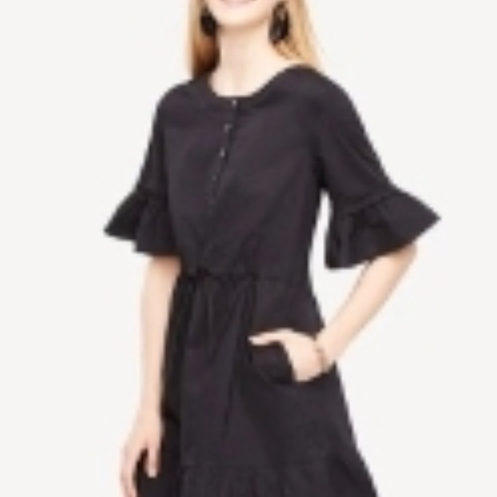 Ann Taylor Poplin Dress